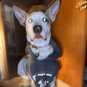 Meet your Posher, Patrick